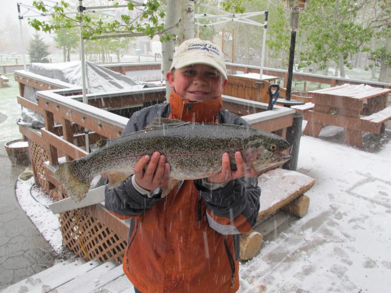 "Catch of the Week" in a snowstorm at Convict Lake, Ca. Photo courtesy of the Convict Lake Resort