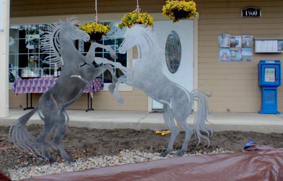 The six foot tall metal sculpture of two mustangs playing was unveiled in front of the Chamber of Commerce.