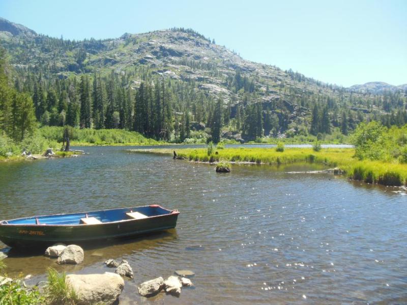Lily Lake