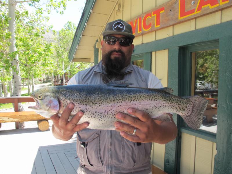 Catch of the week at Convict Lake, Calif. Photo courtesy of the Convict Lake Resort