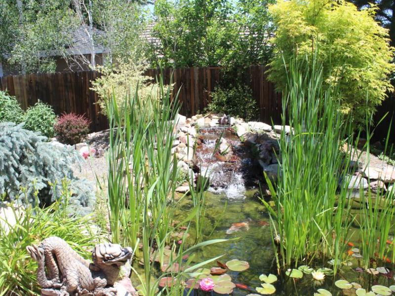 A koi fishpond and waterfall is on display.