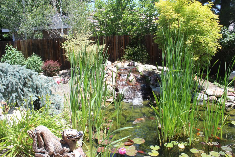 A koi fishpond and waterfall is on display.