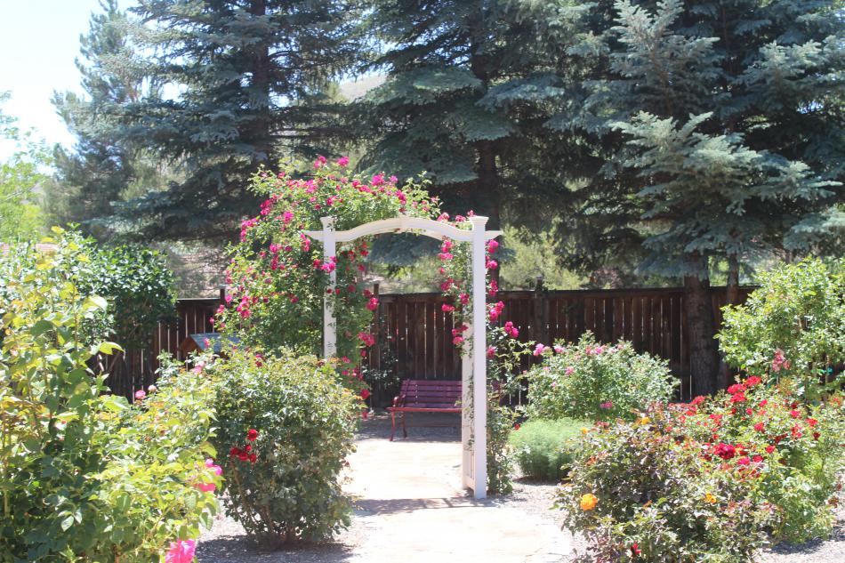 A rose garden with a bench and arch welcomes garden tour guests.