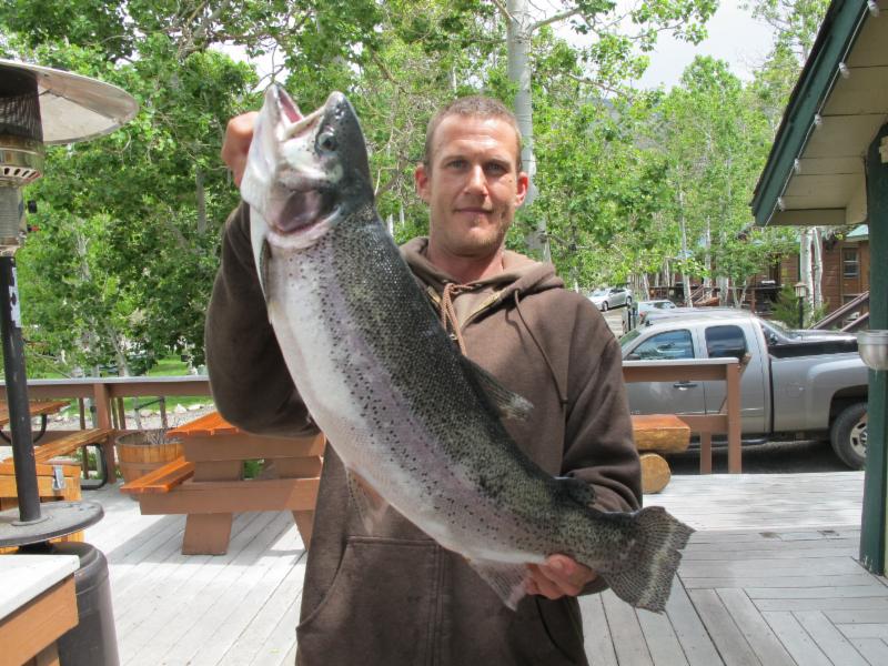 8 pound, 8 ounce Rainbow from Convict Lake, Calif. Photo courtesy of the Convict Lake Resort