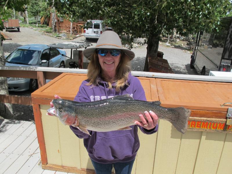 6 pound, 15 ounce Rainbow also from Convict Lake. Photo courtesy of the Convict Lake Resort