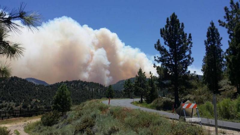 Photo by Chris Hagen for Carson Valley Times. Photo is on Sunday, from the Markleeville campground.