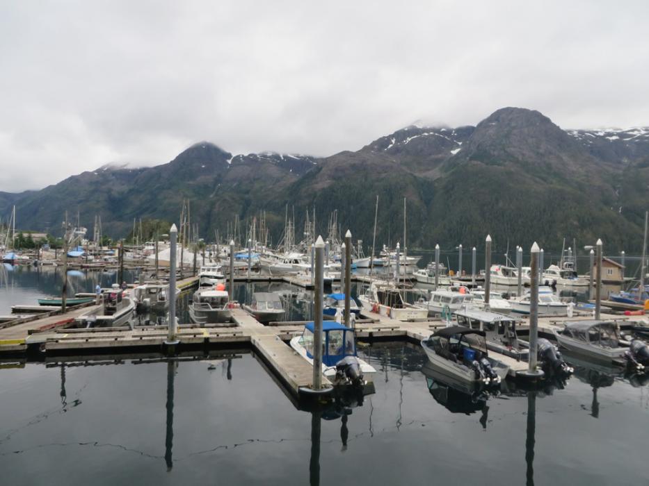 Some of the boats docked in the harbor. Photo by Elaine Quilici