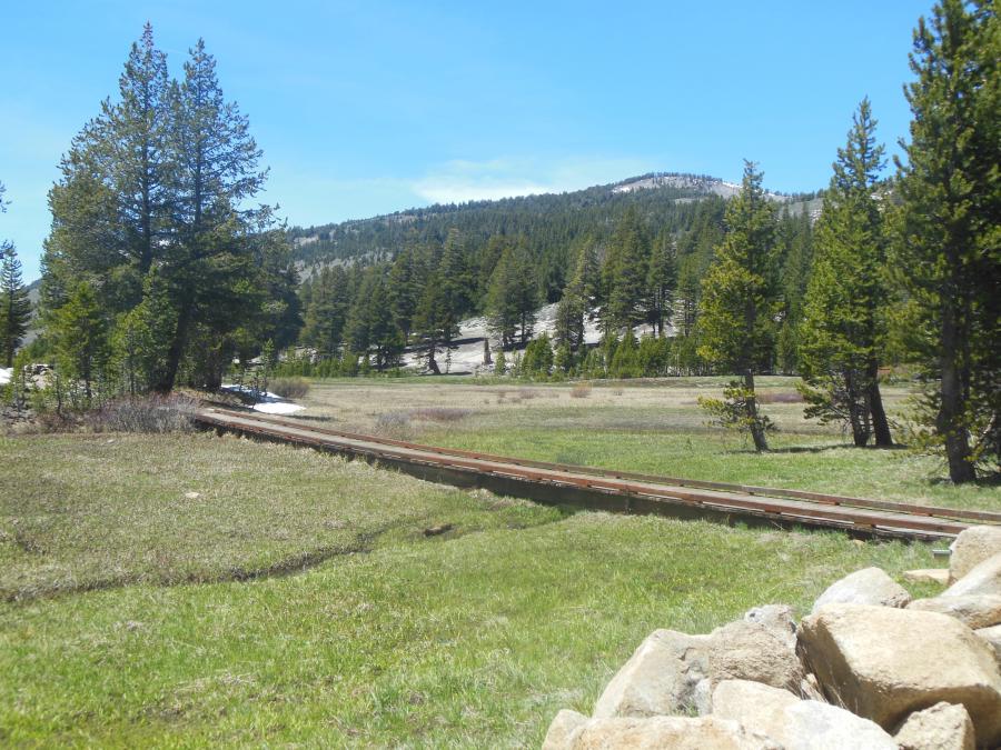 The wood-planked boardwalk stretches across a portion of the Tahoe Meadows Loop Trail.
