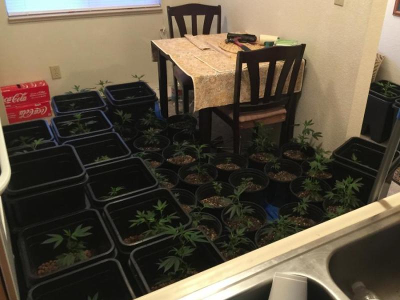 Photo courtesy of the Carson City Sheriff's Office