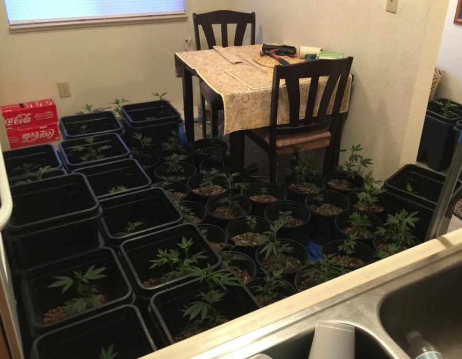 Photo courtesy of the Carson City Sheriff's Office