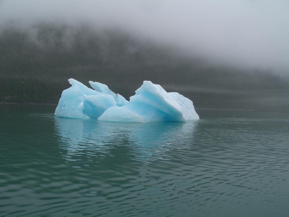 First ice floe from the South Sawyer Glacier. Photo by Elaine Quilici