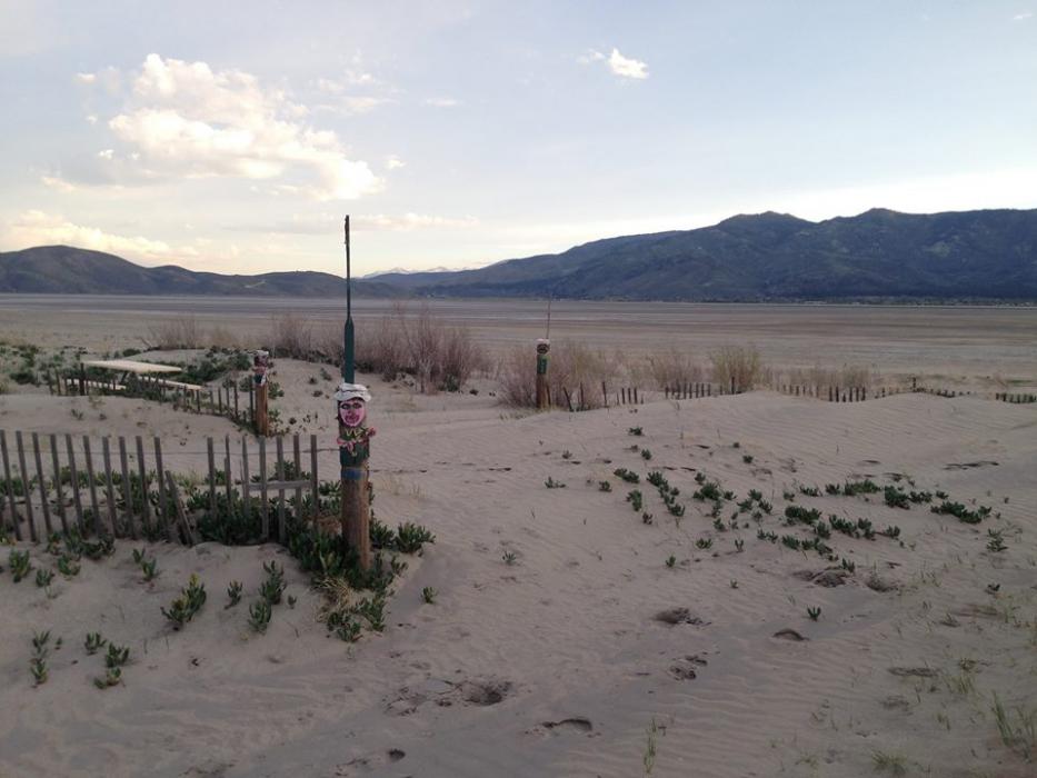 Park Rangers will lecture on scorpions of Nevada and then send guests into the desert to look for them.