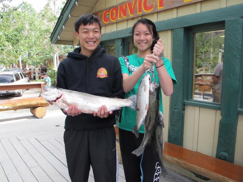 Rainbow Trout caught on Power Bait at Convict Lake, Calif.  Photo courtesy of the Convict Lake Resort