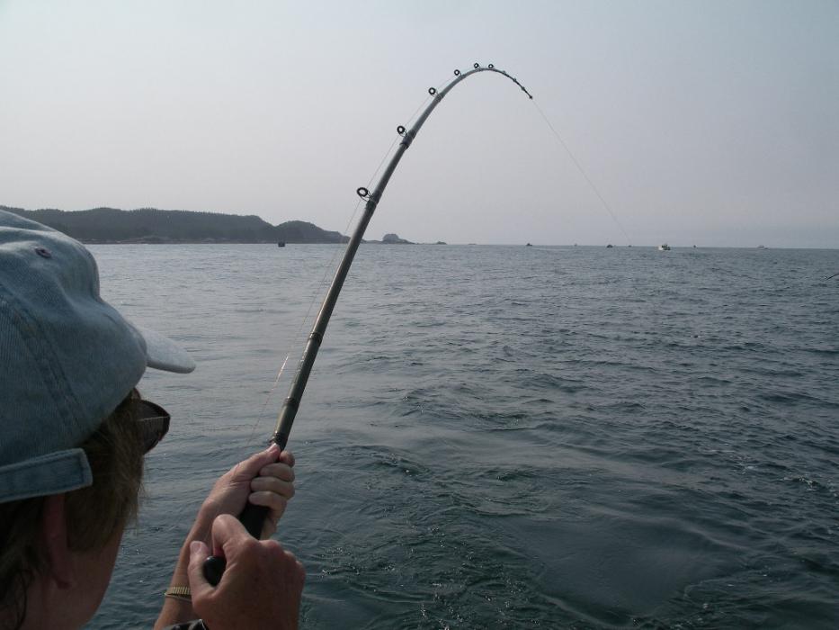 Elaine Quilici struggling to bring in a Halibut. Photo by Don Quilici