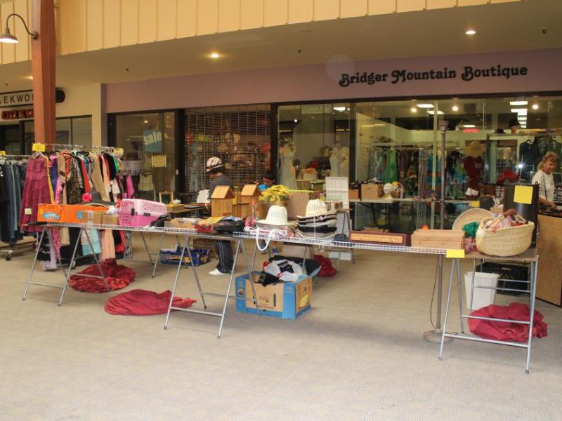 Carson Mall garage sale