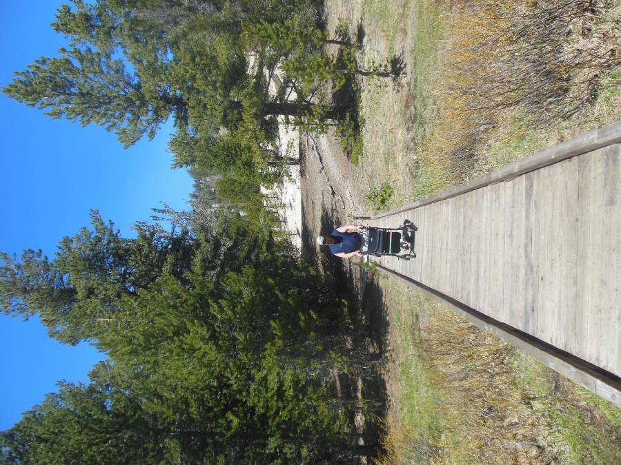 The author on the boardwalk along the Tahoe Meadows Loop trail.