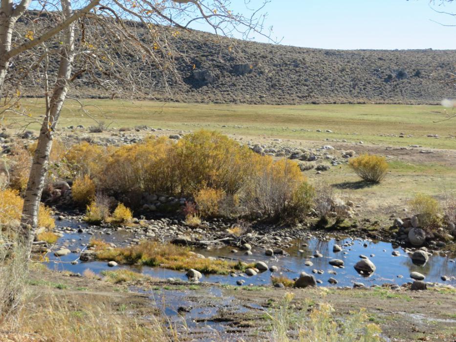 The drought impact on the West Carson River, Calif.  Photo by Elaine Quilici