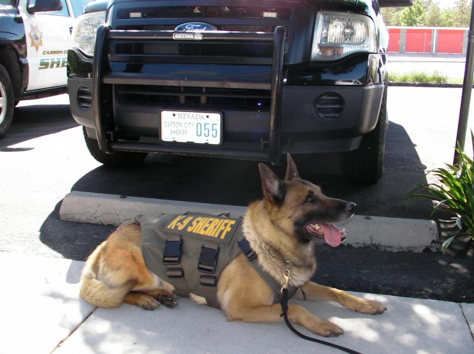 Carson City Sheriff’s Office extends thanks to Sierra Veterinary Hospital for support to K-9 Unit