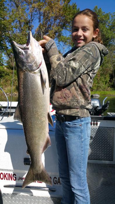 Another King Salmon from the Sacramento River.  Photo courtesy of outdooradventures@sacriverguide.com