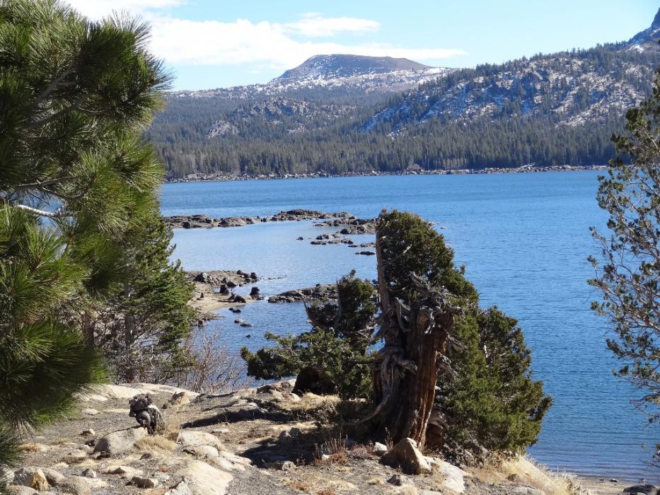 Looking at Elephant Back Mt. from Caples Lake. Photo by Elaine Quilici