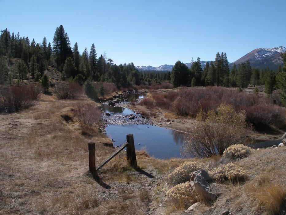 West Carson River from the Hope Valley bridge on S.R. 88.  Photo by Elaine Quilici