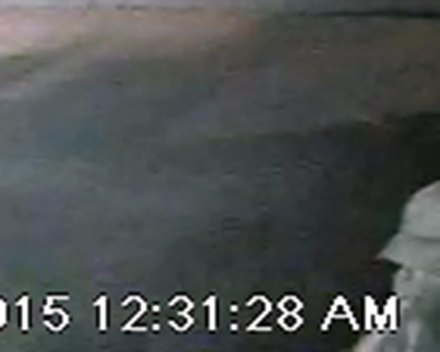 Photo courtesy of the Carson City Sheriff's Office