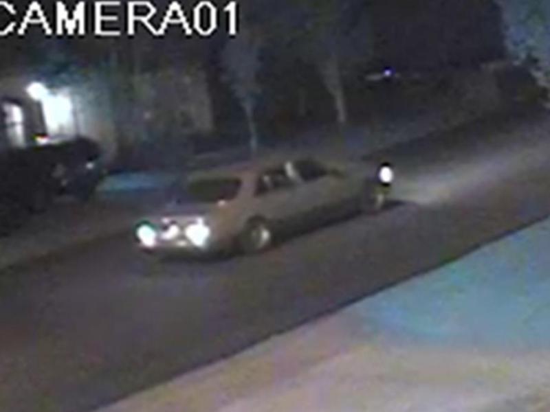 Photo courtesy of the Carson City Sheriff's Office