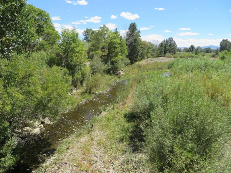 West Carson River as seen from Nevada S.R. 88. Photo by Elaine Quilici