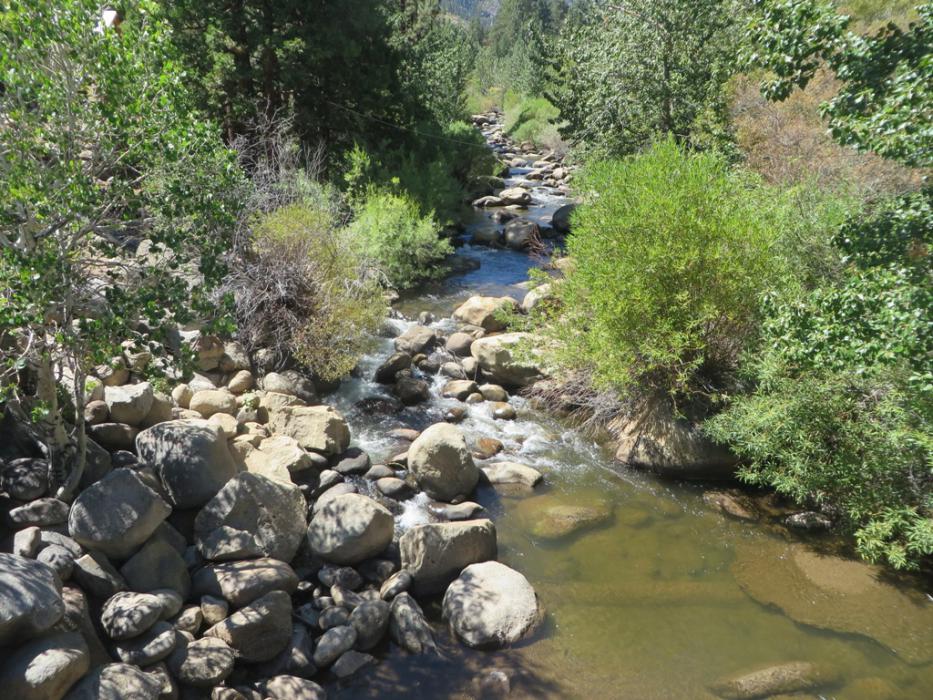 West Carson River at Woodfords. Photo by Elaine Quilici