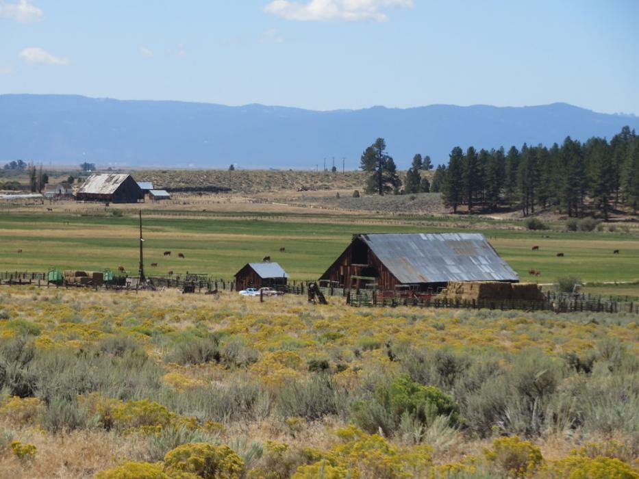 A rural scene near Chilcoot. Photo by Elaine Quilici