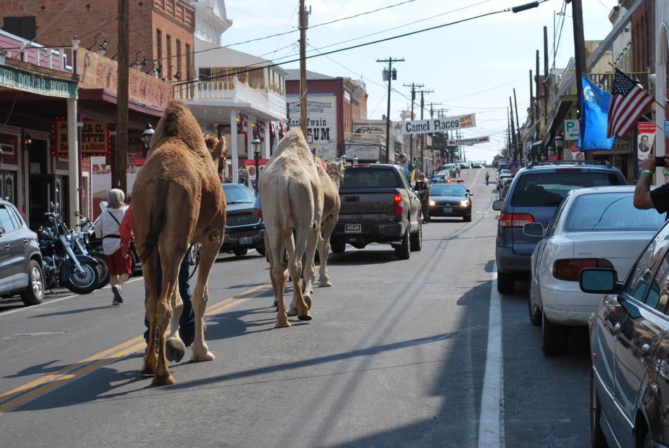 Virginia City Tourism Commission
