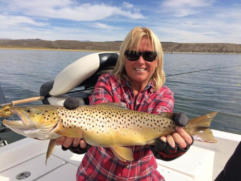 Brown Trout on a fly at Crowley Lake, Calif. Photo courtesy of Tom Loe of Sierra Drifters