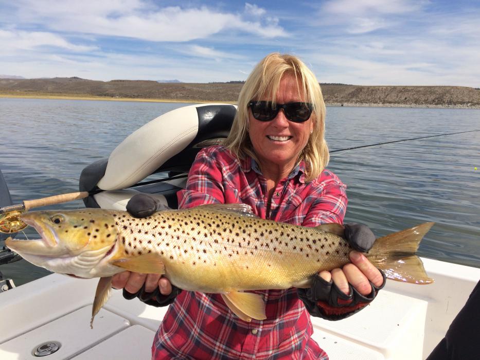 Brown Trout on a fly at Crowley Lake, Calif. Photo courtesy of Tom Loe of Sierra Drifters