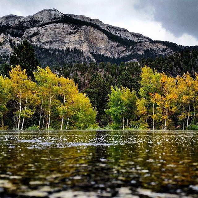 TravelNevada photo