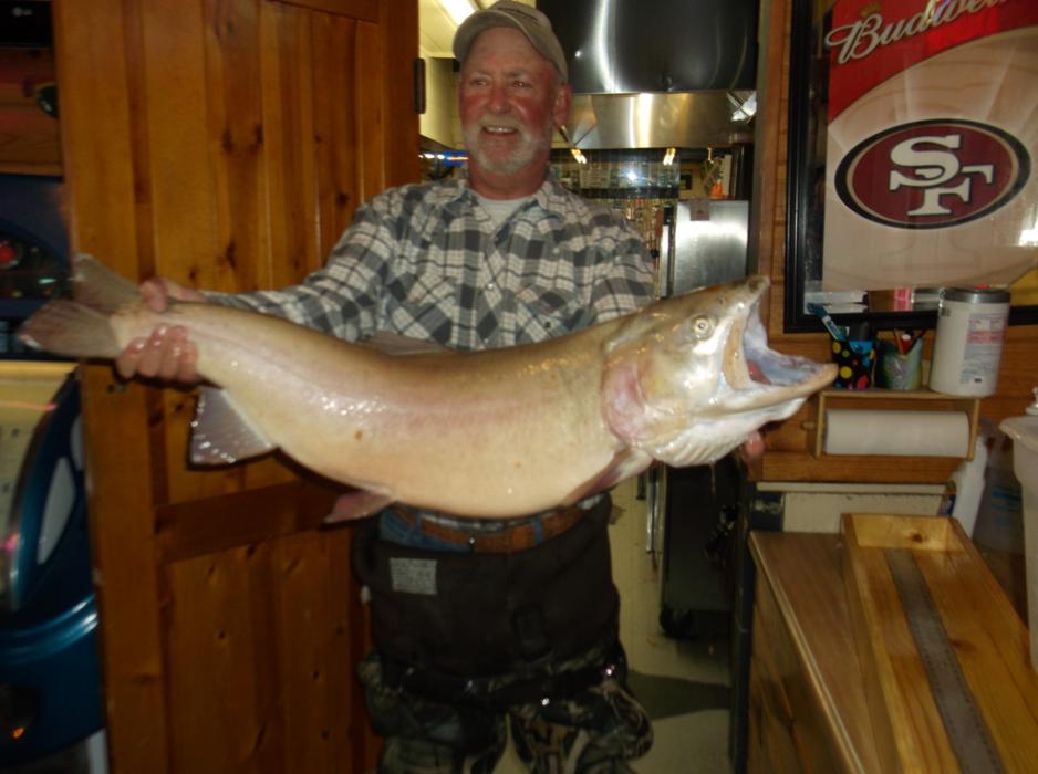 File photo of Pyramid Lake Lahontan Cutthroat Trout. Photo courtesy of Crosby Lodge
