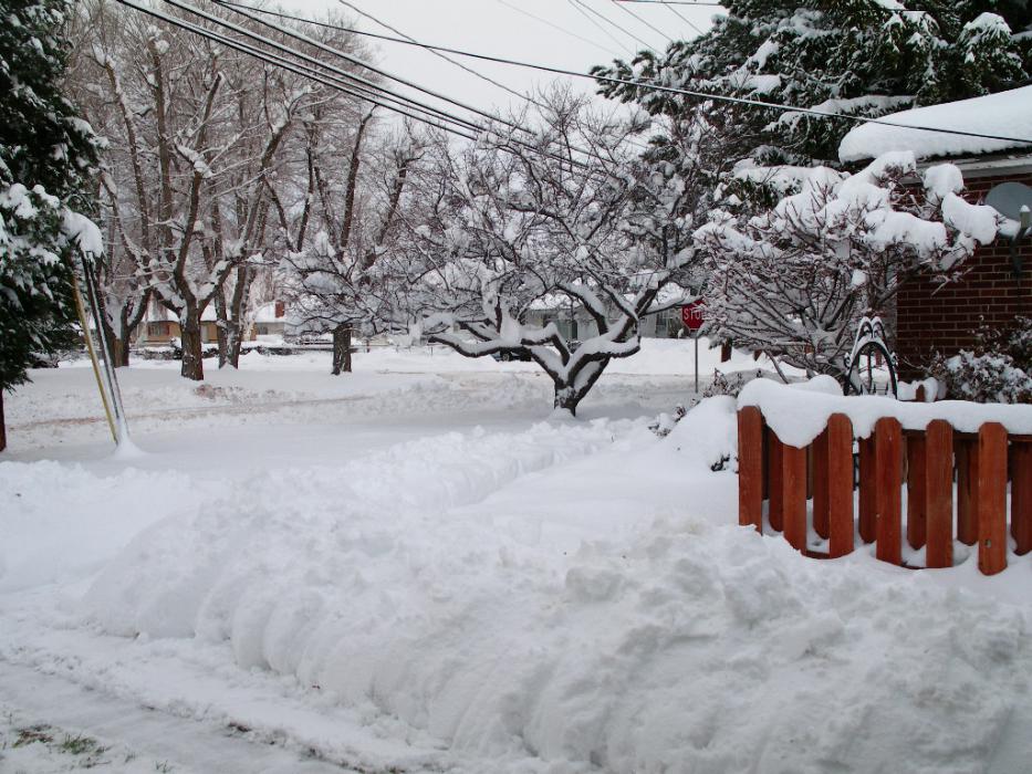 A snowy December 2009 morning in Carson City. Photo by Don Quilici