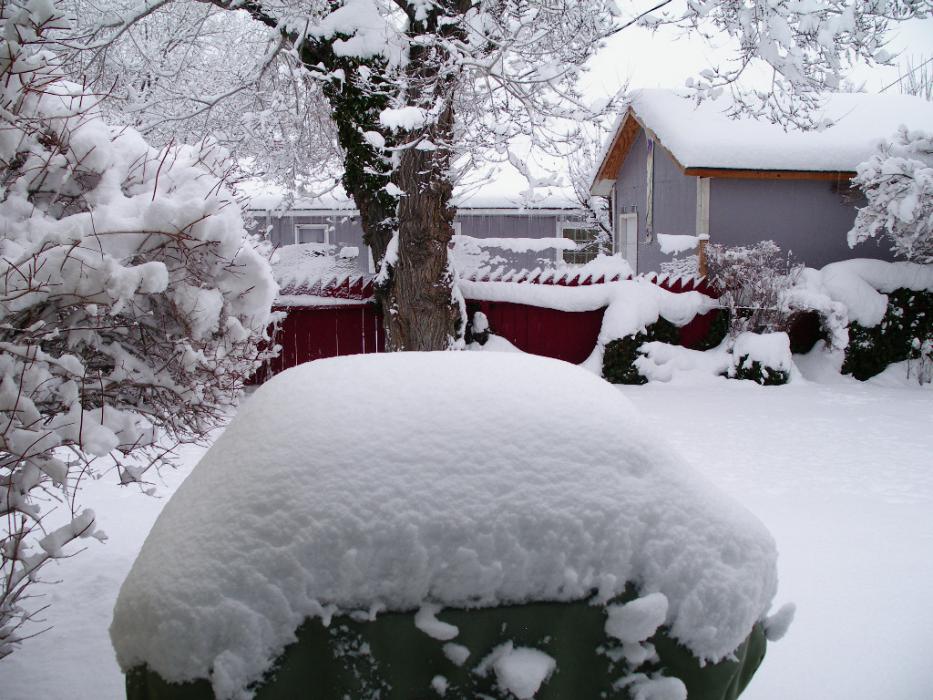Our backyard on the west side of Carson City.  Photo by Don Quilici