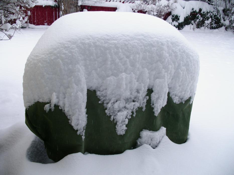 No barbecuing planned for that afternoon. Photo by Don Quilici