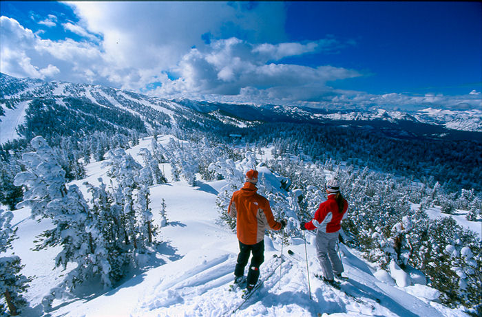Wikipedia photo via USDA