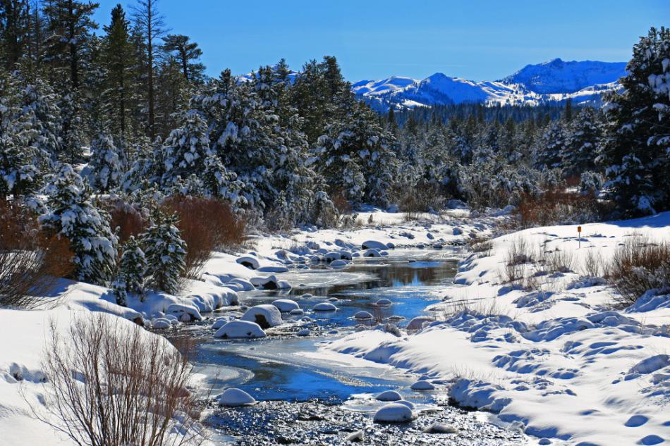Saturday in Hope Valley by Rob Buonamici of Carson City