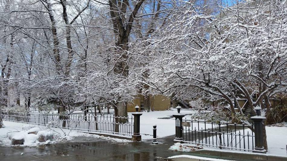 Monday morning at the Nevada State Capitol Building. Photo by Connie Higgons Corley