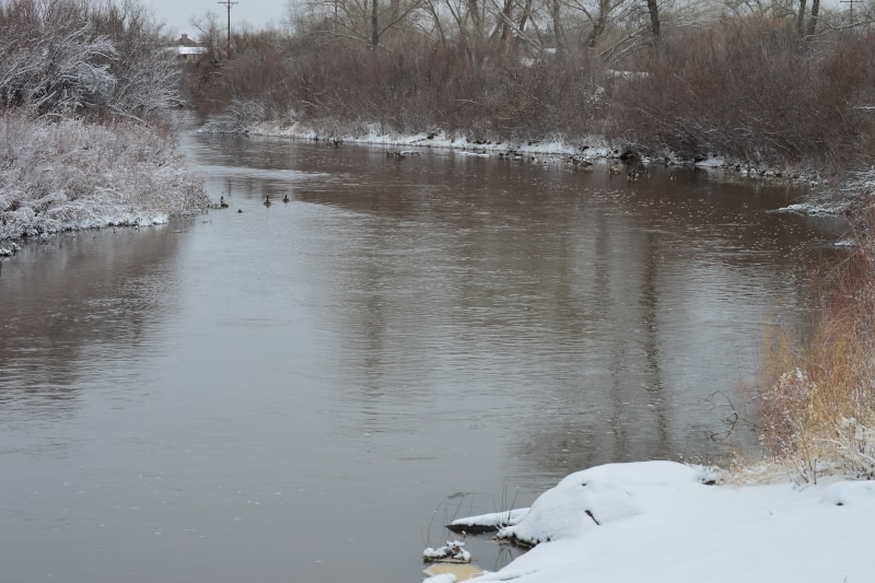 Along the Carson River Thursday. Photo by Brett Fisher.