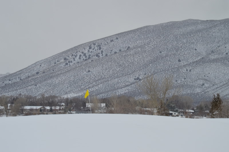 Snow blankets Empire Ranch golf course Thursday. Photo by Brett Fisher