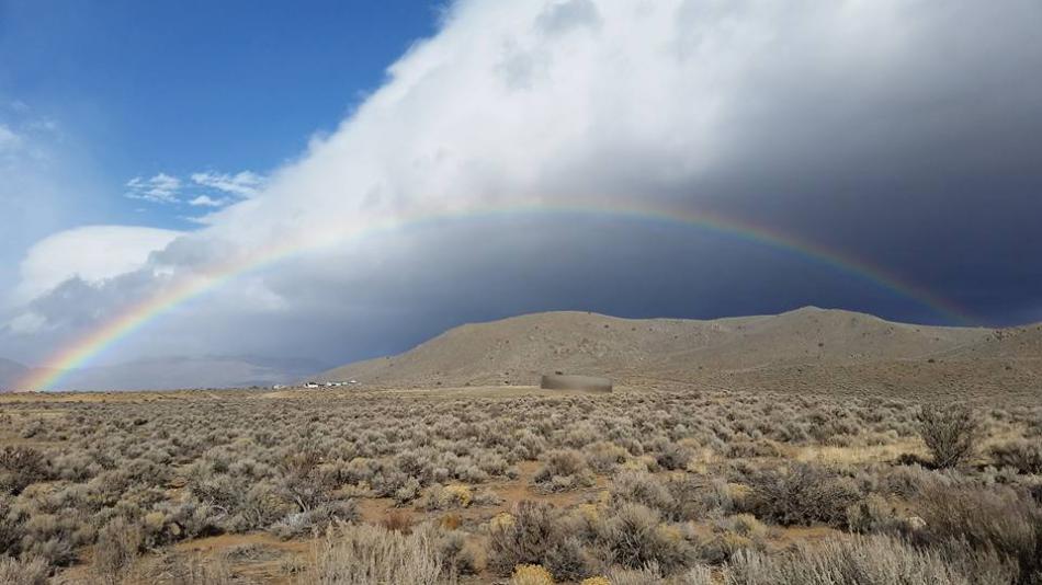 Photo courtesy of Denise Clodjeaux