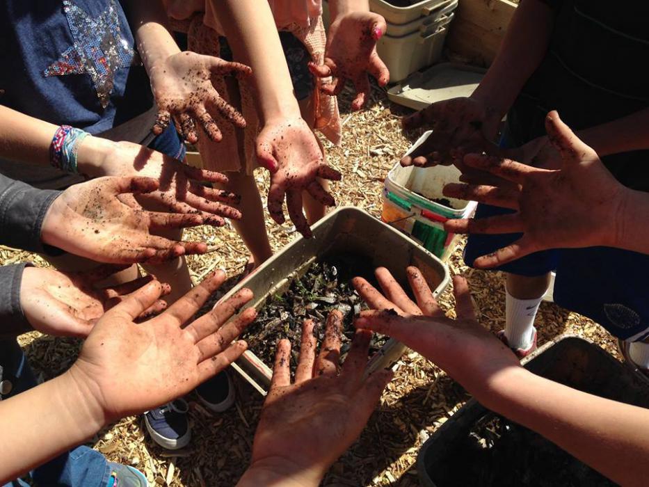 File photo courtesy of the Greenhouse Project.