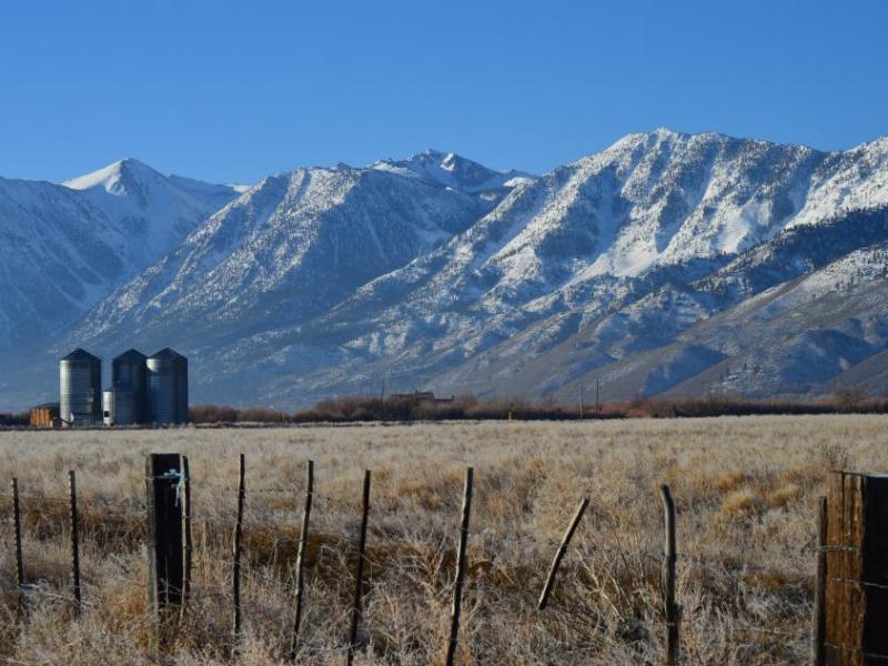 Grain silos in the foreground of the Carson range on a crisp February morning.