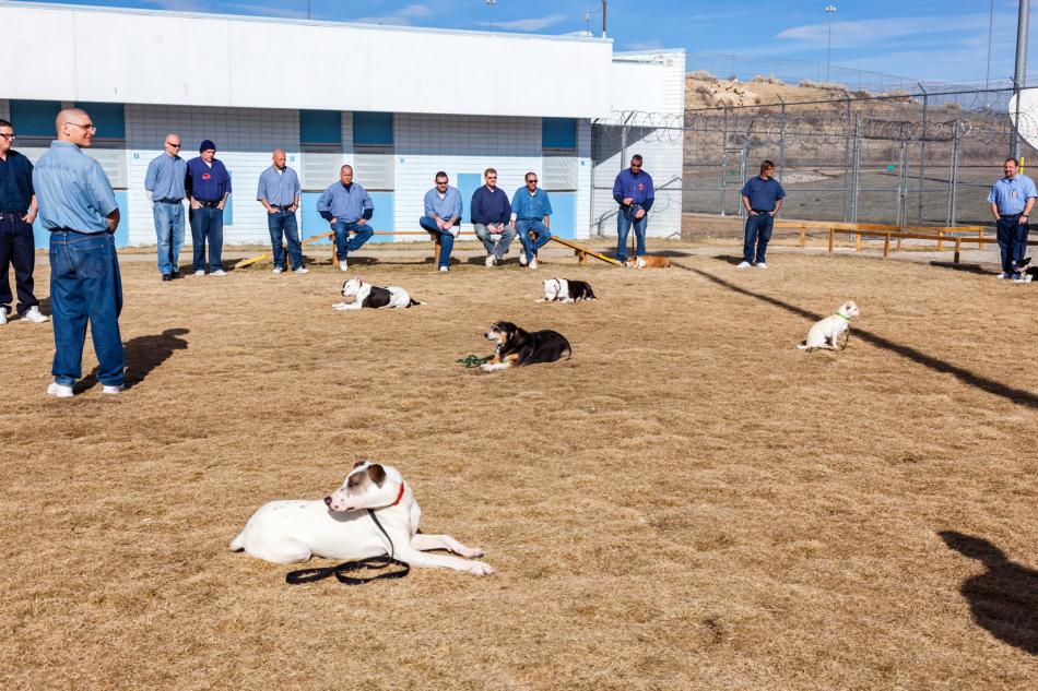 Dog tic tac toe training with inmates at Warm Springs Correctional Center in Carson City.