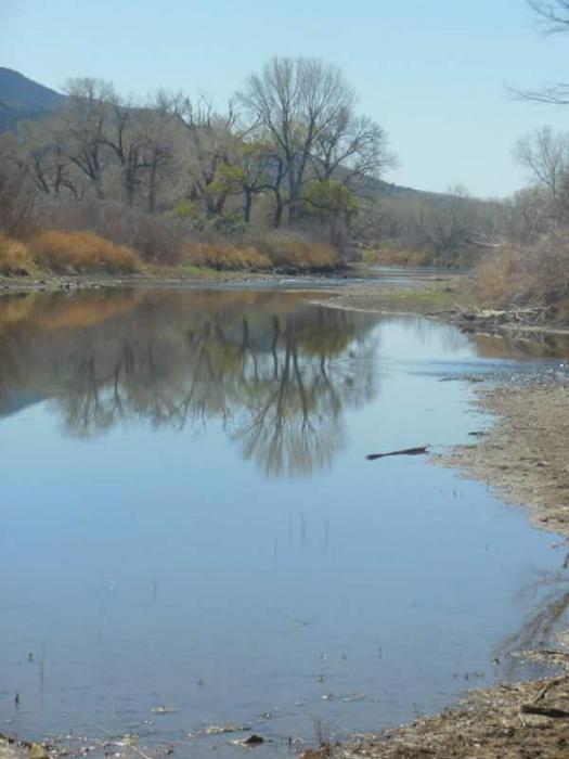Photo by Lisa Fisher. The Carson River riparian corridor in East Carson City.