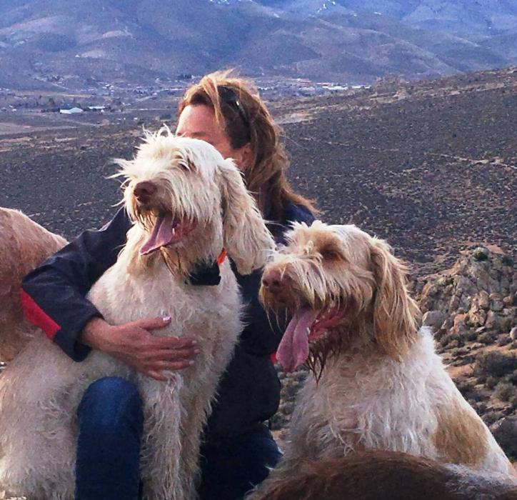 Stacey Belt with the missing Spinoni Italiano dogs.