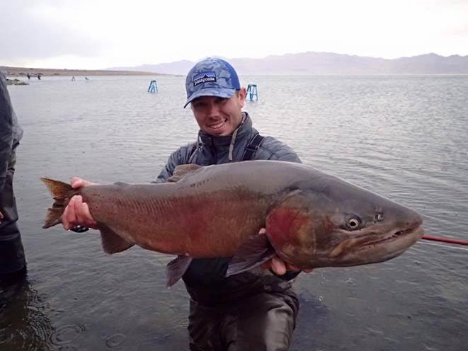 Nick Roberts caught this 23 pound cutthroat over the weekend at Pyramid. Photo courtesy Don Quilici